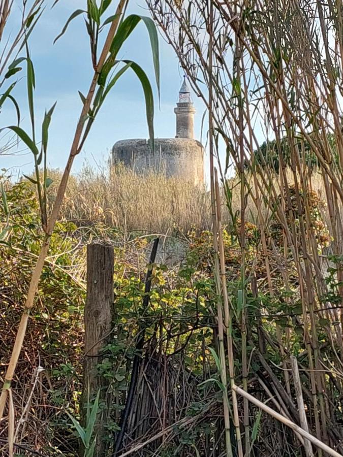 11 Le Tadorne Leilighet Aigues-Mortes Eksteriør bilde